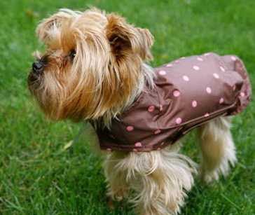 A practical and fashionable pet accessories company keeping your pet comfortable and stylish all year round!