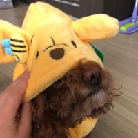 じん (@baaaaaaaaaam___) Twitter profile photo