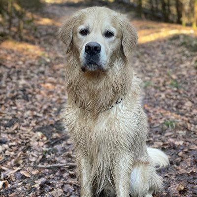 hohmichel's profile picture. 