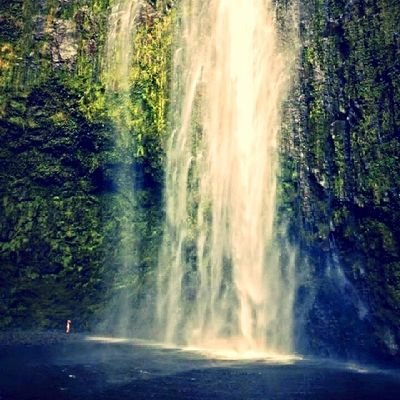 AnnyaLikey's profile picture. 🤭