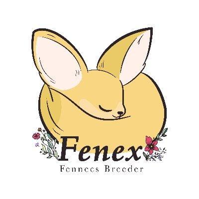 フェネックスでは、フェネックが赤ちゃんの頃から一頭ずつ触れ合う時間を大切にして育てています。ベビーについての問い合わせ、ご予約、販売に関しましてはHPから受け付けております。
HP→https://t.co/dIZKnCH3iA
動画、画像の無断使用、改変は禁止しております。フォロー、リツイートはお気軽にどうぞ~🦊