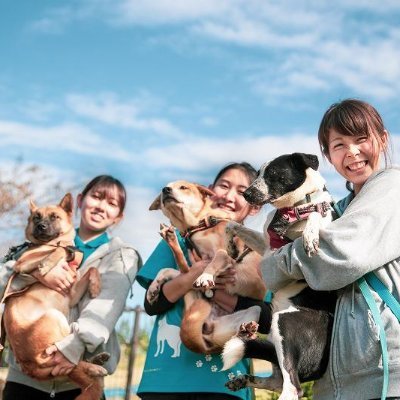 広島県神石高原町で犬の殺処分ゼロに取り組む「ピースワンコ・ジャパン」里親さん募集中のワンコやご支援いただく方法についてお伝えします。 #保護犬を迎える選択肢 #保護犬を守り隊 で応援をお願いいたします！ よろしければ皆さんのワンコもフォローさせてください🐶💕