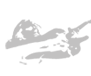 Gitaarnet.nl, The number one guitarsite from the Netherlands!