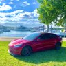 WillRedTesla3's profile picture. Tesla owner and investor in Miami Florida 😎