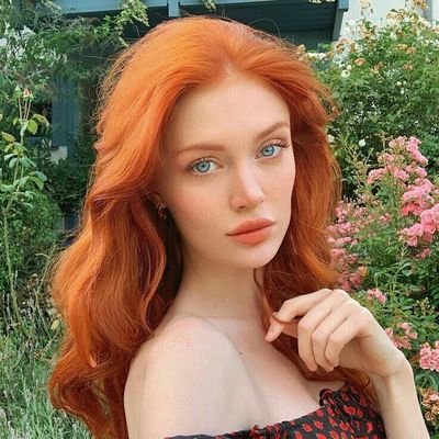 rayssbridgerton's profile picture. bookstan fantasma.