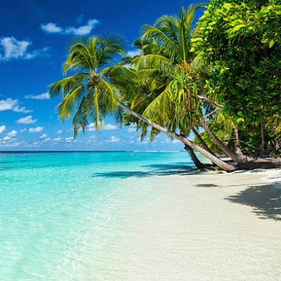 Daniell31365217's profile picture. Ecology and justice, the two pillars the world needs