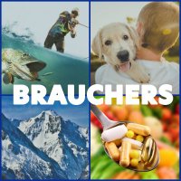 Brauchers (@brauchers3) 's Twitter Profile