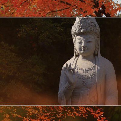 bilili96874875's profile picture. 