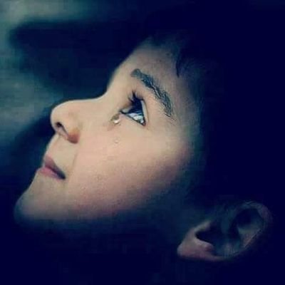 y0bb83gg4SsOTpl's profile picture. ملیں تو اپنے دلاسے کے واسطے افکار
ہم ایک دوسرے کے دکھ پہ ہنستے رہتے ہیں
💔🖤😢 ۔۔