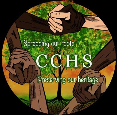 CCHS aims to provide a spaces to celebrate & uplift the Caribbean community & make a positive community impact 🌎
non-profit organization