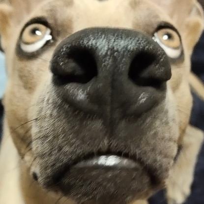 EngineerPcp's profile picture. #pcp #PCP #PARDNV008 #PARD 
SCOPE RIFLES  ... 
FX THAILAND 
AIR GUNS ,