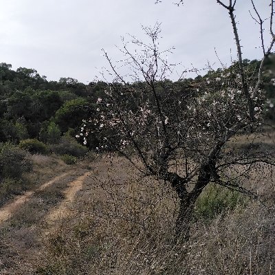 Me caí tantas veces que me dí cuenta que el cemento no era amable. La foto es un valle, pero no cualquiera, es el Val de Fardachos