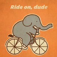 elephantonabike🇦🇺🦘🇮🇪☘️Diarmuid MacAodha(@diarmuidmccoy) 's Twitter Profileg