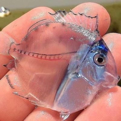 EngrKennedyAnt1's profile picture. THE CHANGE BEGINS WITH YOU.