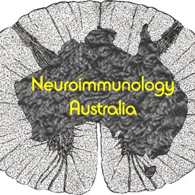 Neuroimmunology Australia provides a forum for scientific discussion of topics related to neuroimmunology through workshops, webinars and other media.