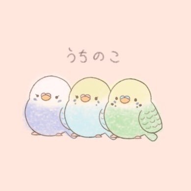 ぱぴ子さんのプロフィール画像