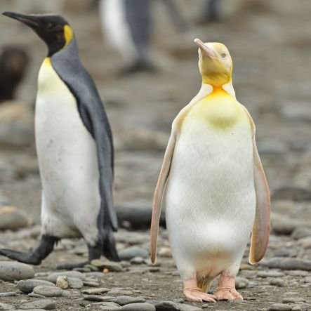 naritnarong's profile picture. Thailand come first

    ไม่ หนักแผ่นดิน

   
           Stronger Siam

           Not so vain