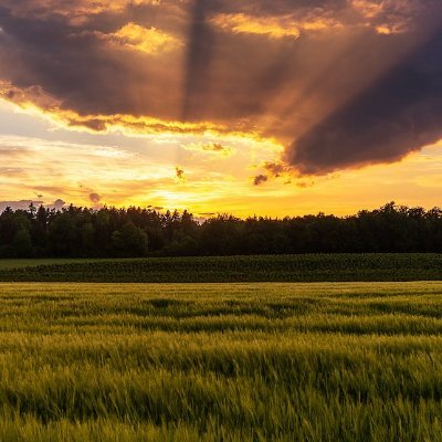 atlgpl's profile picture. curious about the world, about human creativity and an admirer of the beauty of nature.