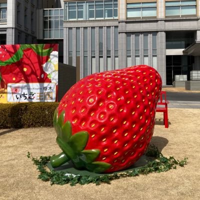 in01541414's profile picture. 栃木県内の情報を発信します。目標は１日１情報。地方公務員ネタもつぶやくかもしれません。県内プロチーム（宇都宮ブレックス、栃木ゴールデンブレーブス、アイスバックスなど）を応援していますが、サッカーだけはジェフ千葉のファンです（栃木SCごめんなさい）。