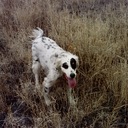 Lee Harmon - @tanker466 - Twitter