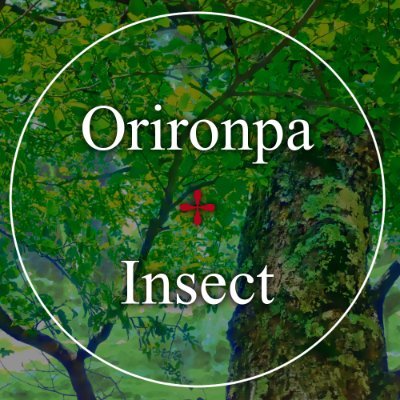 Orironpa✢Insect【完結】さんのプロフィール画像