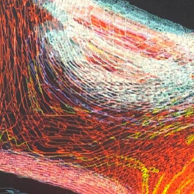 kikurou25's profile picture. 台湾人 20↑ ︴幹勁、語彙力跟存款都是0的社畜廢推︴🌹❤️💙💜💚🧡 ︴ 🕰️💜❤️💚secondz ︴🪞💙U:nity ︴無言フォロすみません🙏