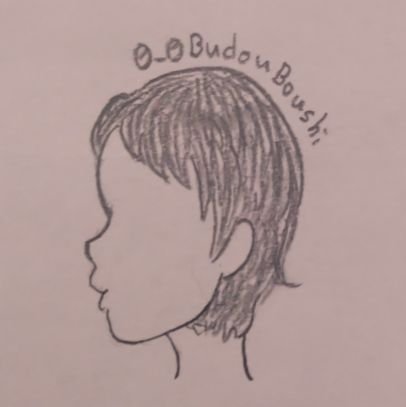 0_0BudouBoushi Profile Picture