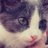 reginamkdp's profile image