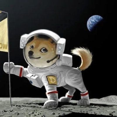 muchpumps's profile picture. Be a part of history. We are going to one day pump DOGE and LUNC to the MOON. Much follow!
Doge tips: DURgz519kcTr11hrTwJ8Fn4cisvchQqtgN