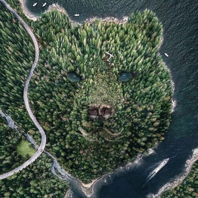 ProudlyEkitiboy's profile picture. Freethinkers/Burnaboy🦍❤️