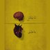 وَطـن... (@a4abdu123) Twitter profile photo وَطـن... (@a4abdu123) Twitter profile photo