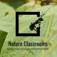 NatureClassrooms(@NatrClassrooms) 's Twitter Profile Photo