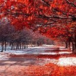 GolchhaDevi's profile picture. live and let live ... any good platform is all about learning experience