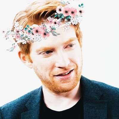 account dedicated to the literal work of art, the most beautiful, talented and softest man alive aka domhnall gleeson