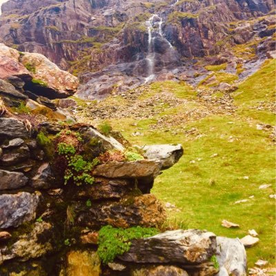 mishellelyons's profile picture. SERT St. Daniel Camboni