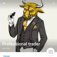 professional trader(@proftrader12) 's Twitter Profileg