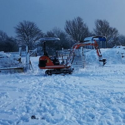 Greasemonkey110's profile picture. 