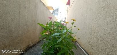 PPavanpakala's profile picture. 