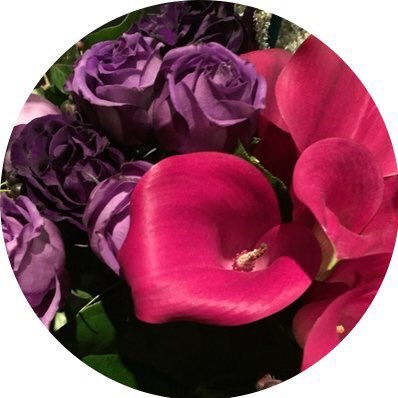 n_a_twt's profile picture. 今日も生きてる