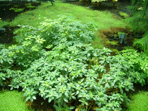 fkhan_01's profile picture. 