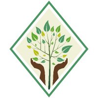 Lime Tree Academy (@limetreepa) 's Twitter Profile