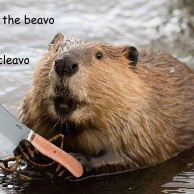 krothMog's profile picture. 