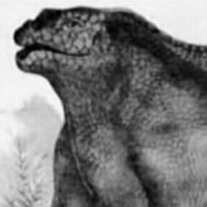 1800sI's profile picture. trying to learn how to use this app. I draw dinosaws and i do fooni memes