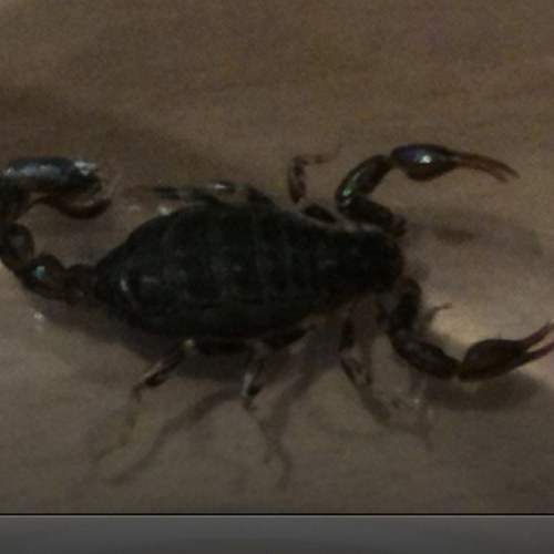 ablokedownunder's profile picture. Family man who loves his family, footy, fishing and food!!