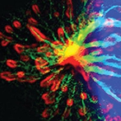 Bio-Art Mixer Profile