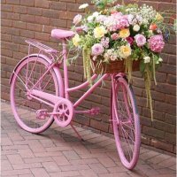 pınar (@diyaliz55338429) 's Twitter Profile