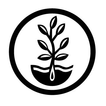 mvseedco's profile picture. Selling OP, Heirloom, hybrid and non-hybrid garden and flower seeds since 1974.  A huge selection of seeds for storage and emergency use, organic certified.