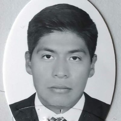 Ingeniero Químico Metalúrgico UNAM