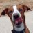 serav_bcn123's profile image