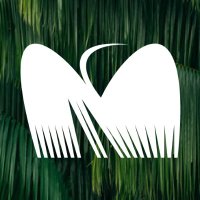 Mambo (@mambo_co) 's Twitter Profile
